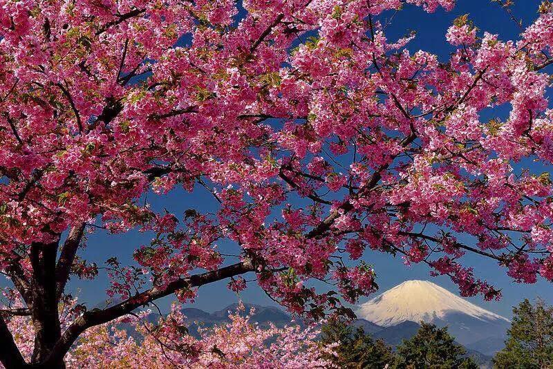 Hakone Pacific Hotell Eksteriør bilde