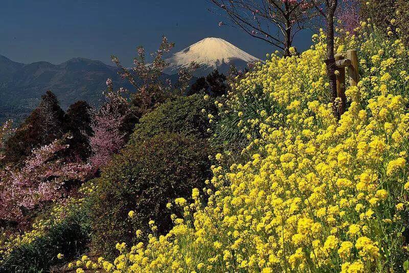 Hakone Pacific Hotell Eksteriør bilde