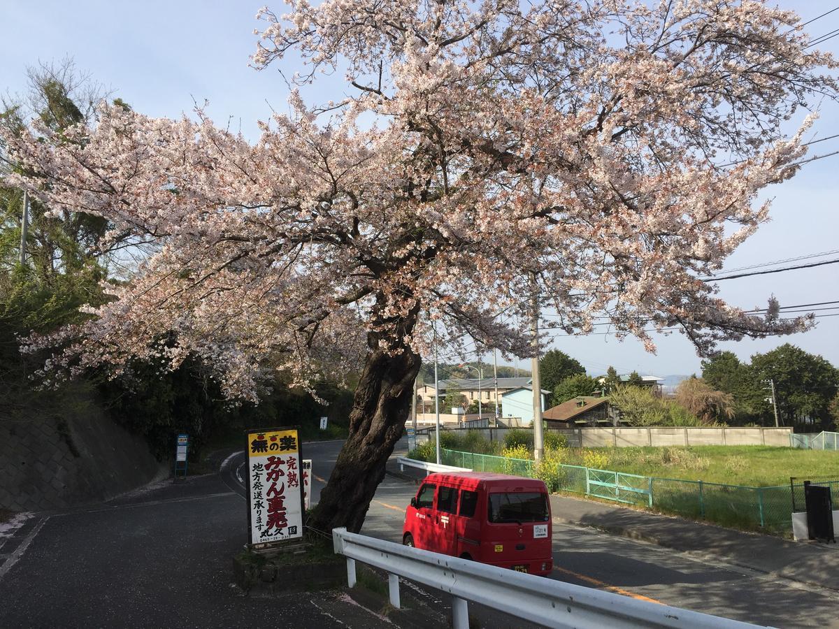 Hakone Pacific Hotell Eksteriør bilde